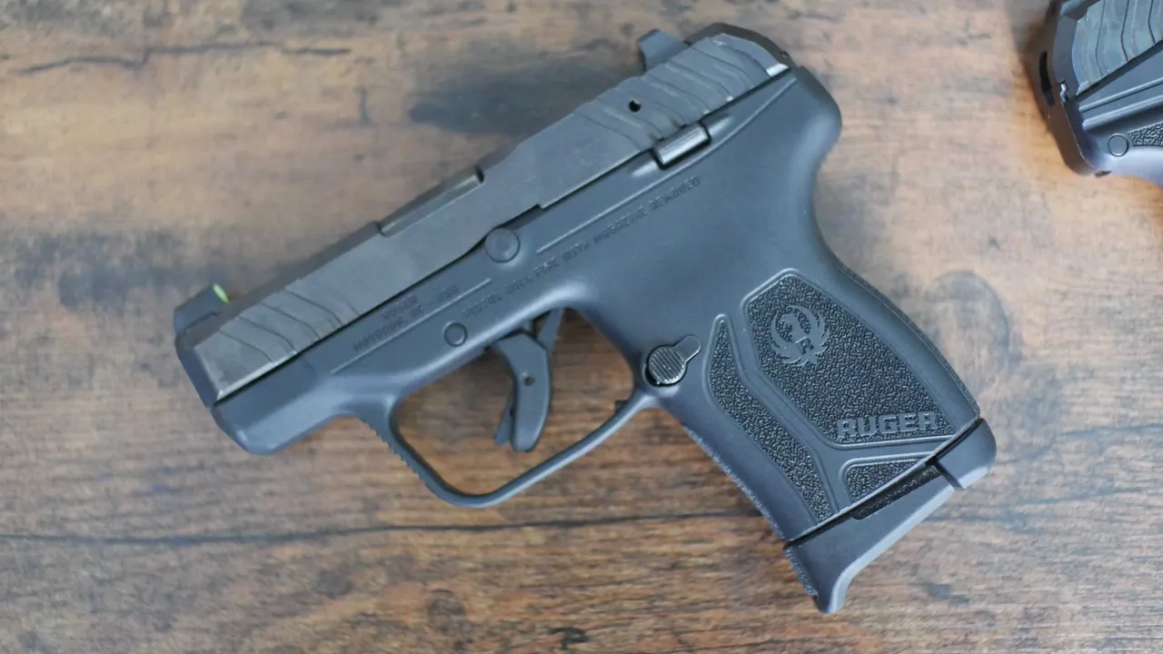 Ruger LCP Max sights Ruger LCP Max sights