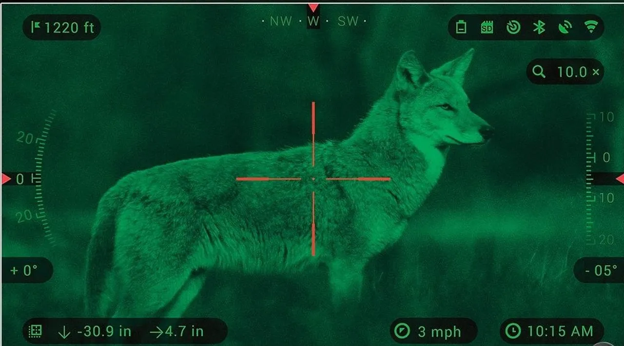 Coyote Seen Through ATN Digital Night Vision scope.